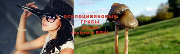 стаф Баксан